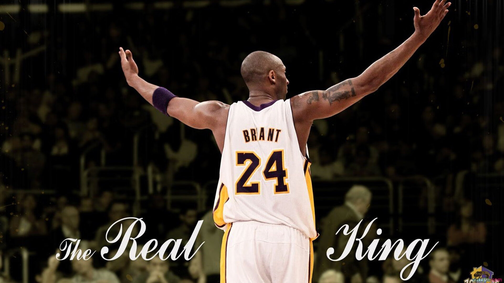 开云体育官方网站-风暴与闪电，当航海家的团队交响遇上孤勇者的单板绝唱